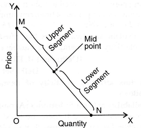 Measurement of Elasticity